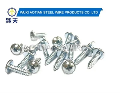 Self Tapping Screw.